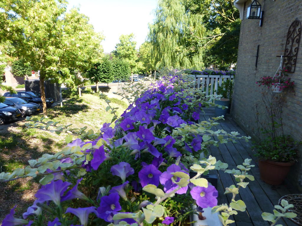 De Vier Kroonen Enkhuizen Bilik gambar